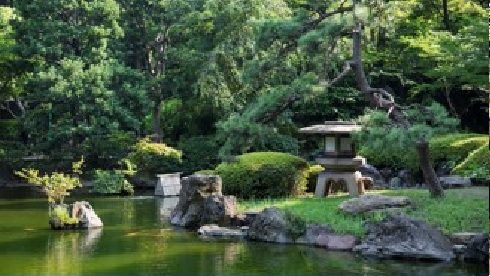 Japanese Garden