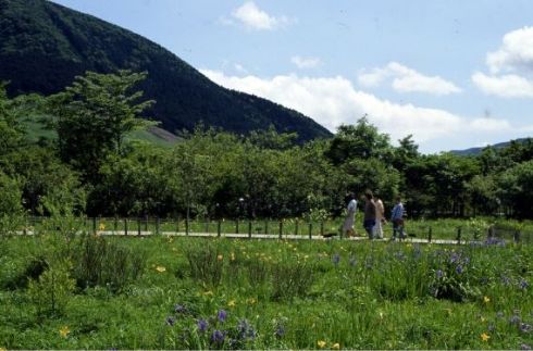 Hakone Botanical Garden of Wetlands