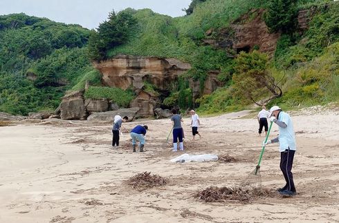 Beach Clean-up activity