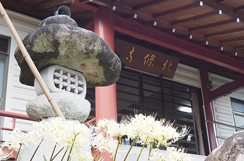 Hojoji-Temple