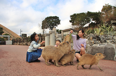 Izu Shaboten Park