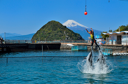 Izu Mito Sea Paradise