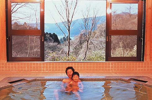 Open-Air Hot Spring(with roof)