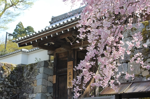 Sanzen-in Temple