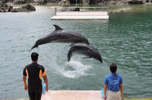 Shimoda Floating Aquarium