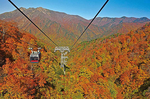 Tanigawadake Ropeway by Hoshino Resorts